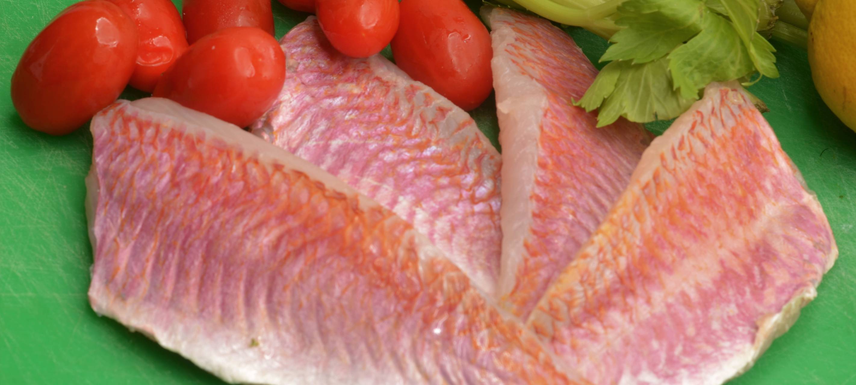 Pasta mit Rotbarbe, Staudensellerie und Fenchel