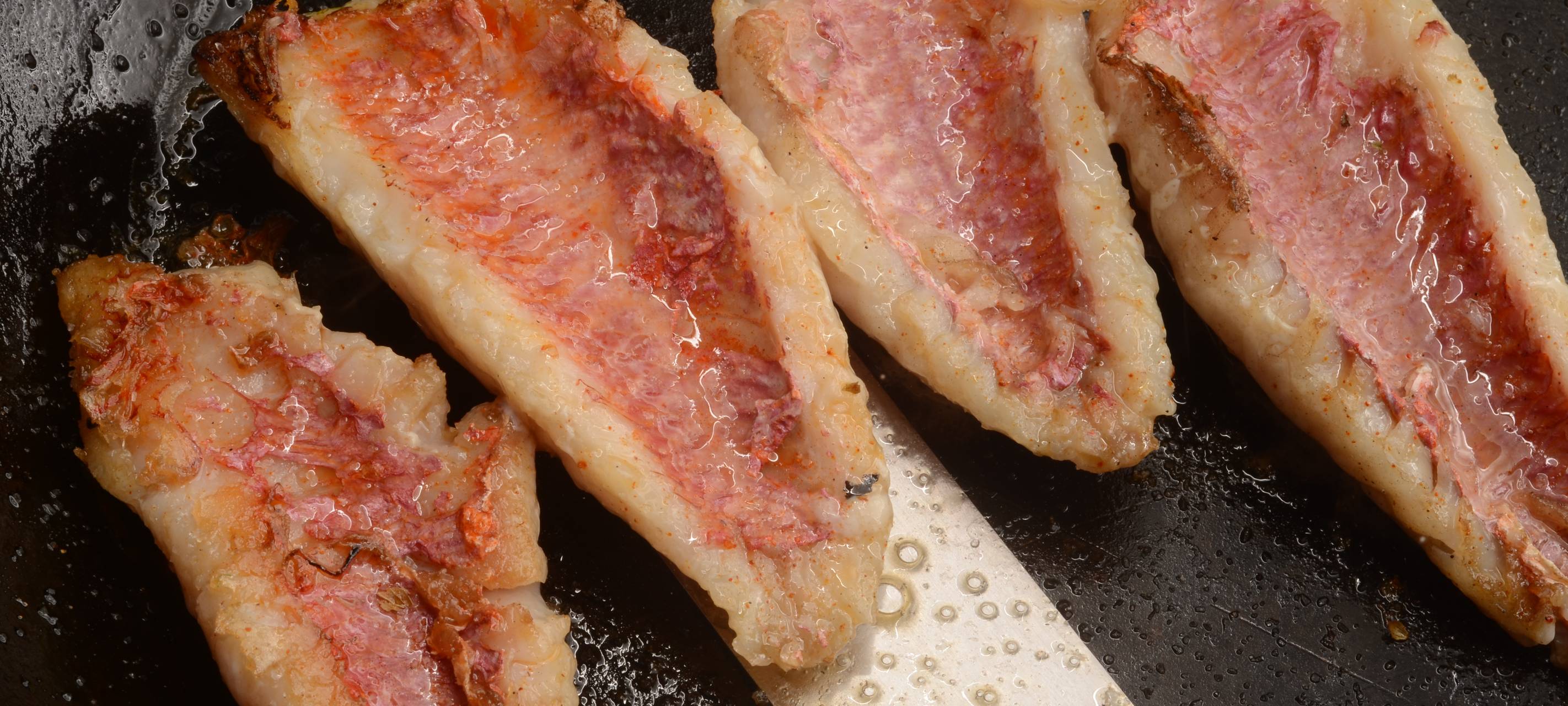 Pasta mit Rotbarbe, Staudensellerie und Fenchel