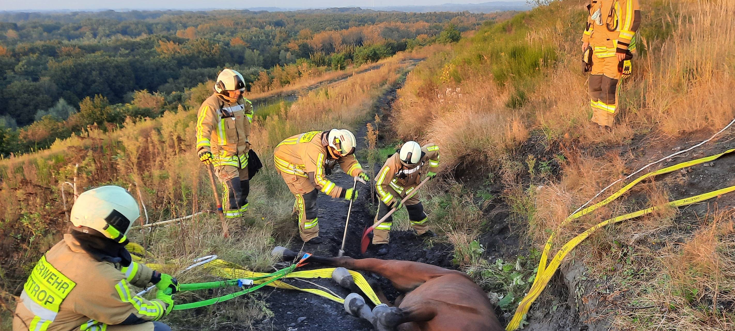 Eingeklemmtes Pferd in einem engen Graben