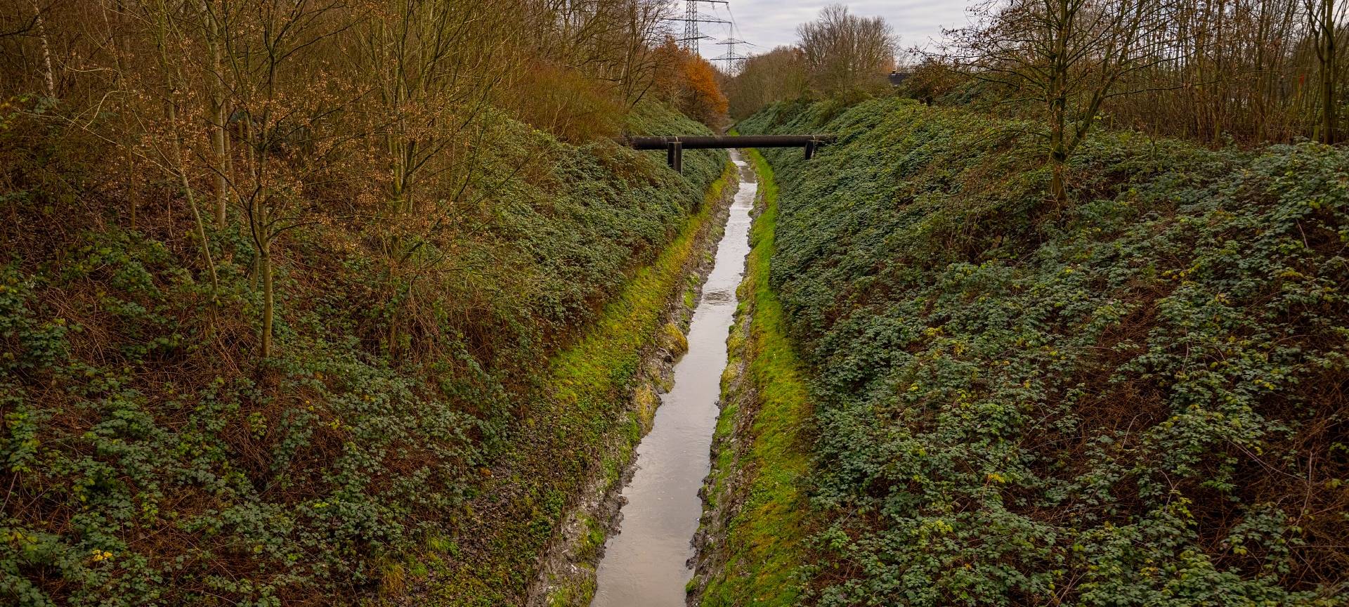 Der Schwarzbach in Gelsenkirchen