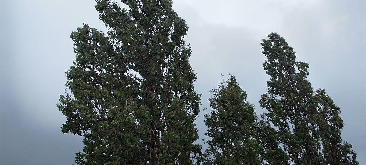 Orkantief "Zeynep" sorgt für zahlreiche Feuerwehreinsätze