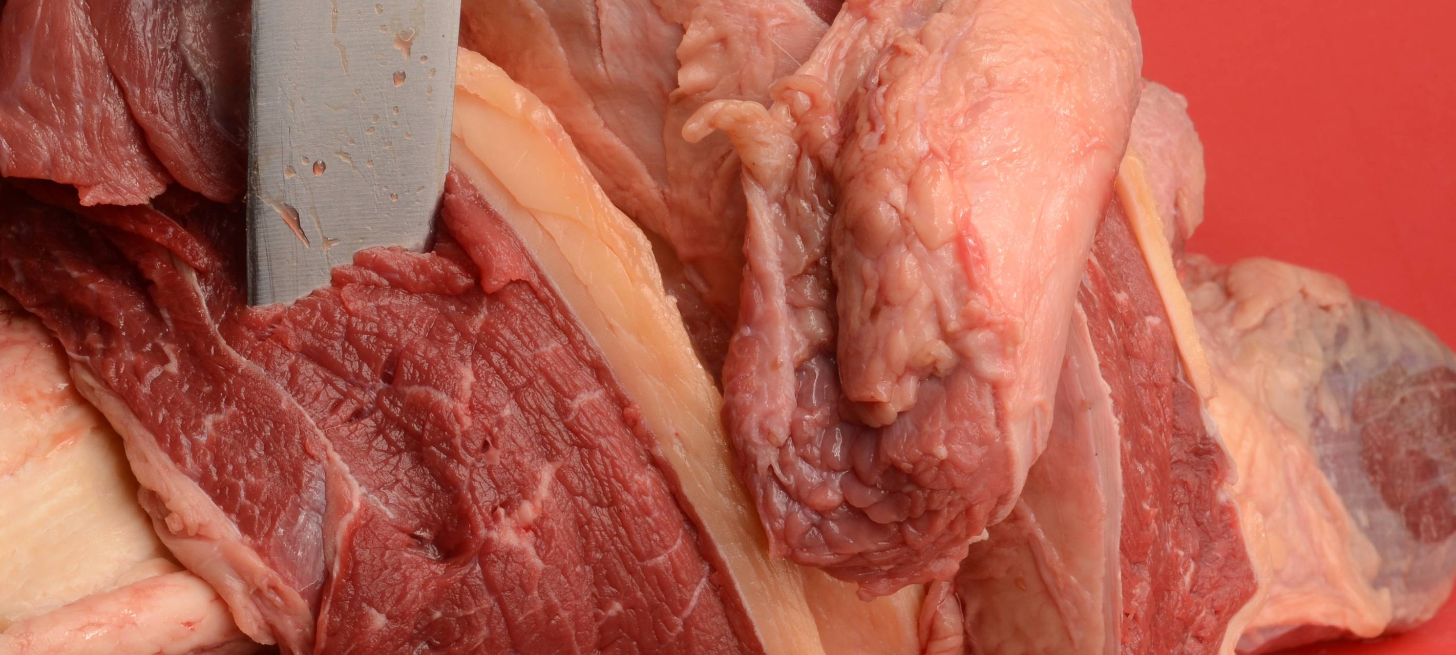 Mariniertes Schmorfleisch - Boeuf bourguignon