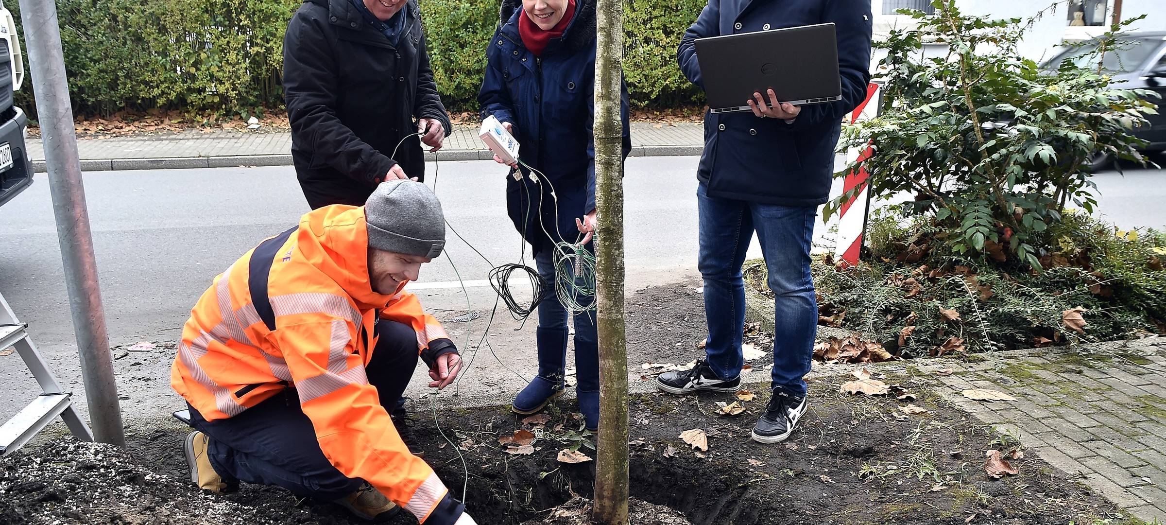 Baum mit Feuchtigkeitssensoren wird eingepflanzt