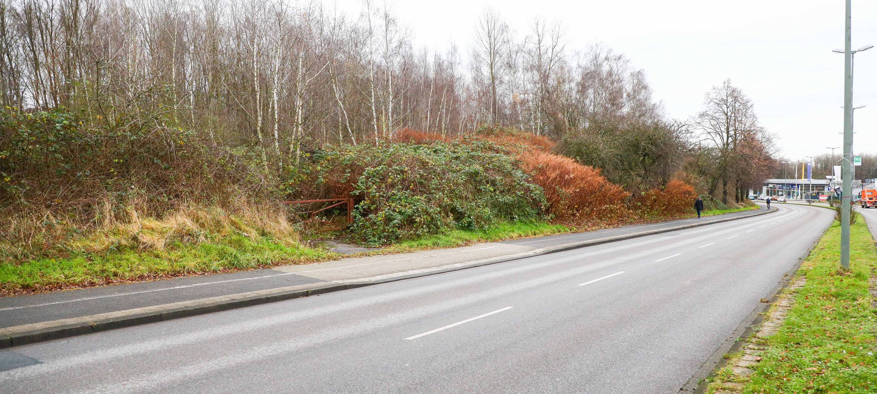 Zugewucherte Brachfläche am Bottroper Südring