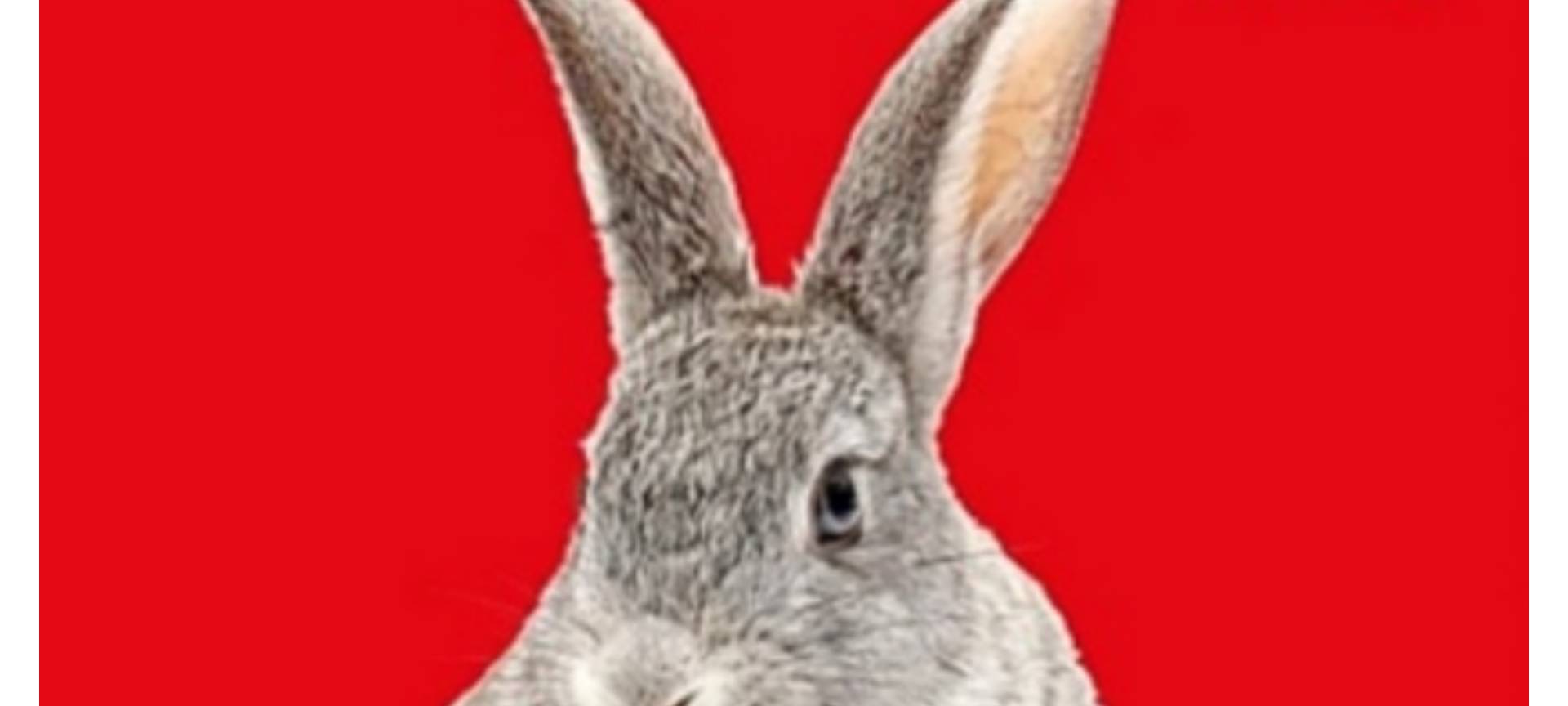 Buchtipp: "Blasehase"