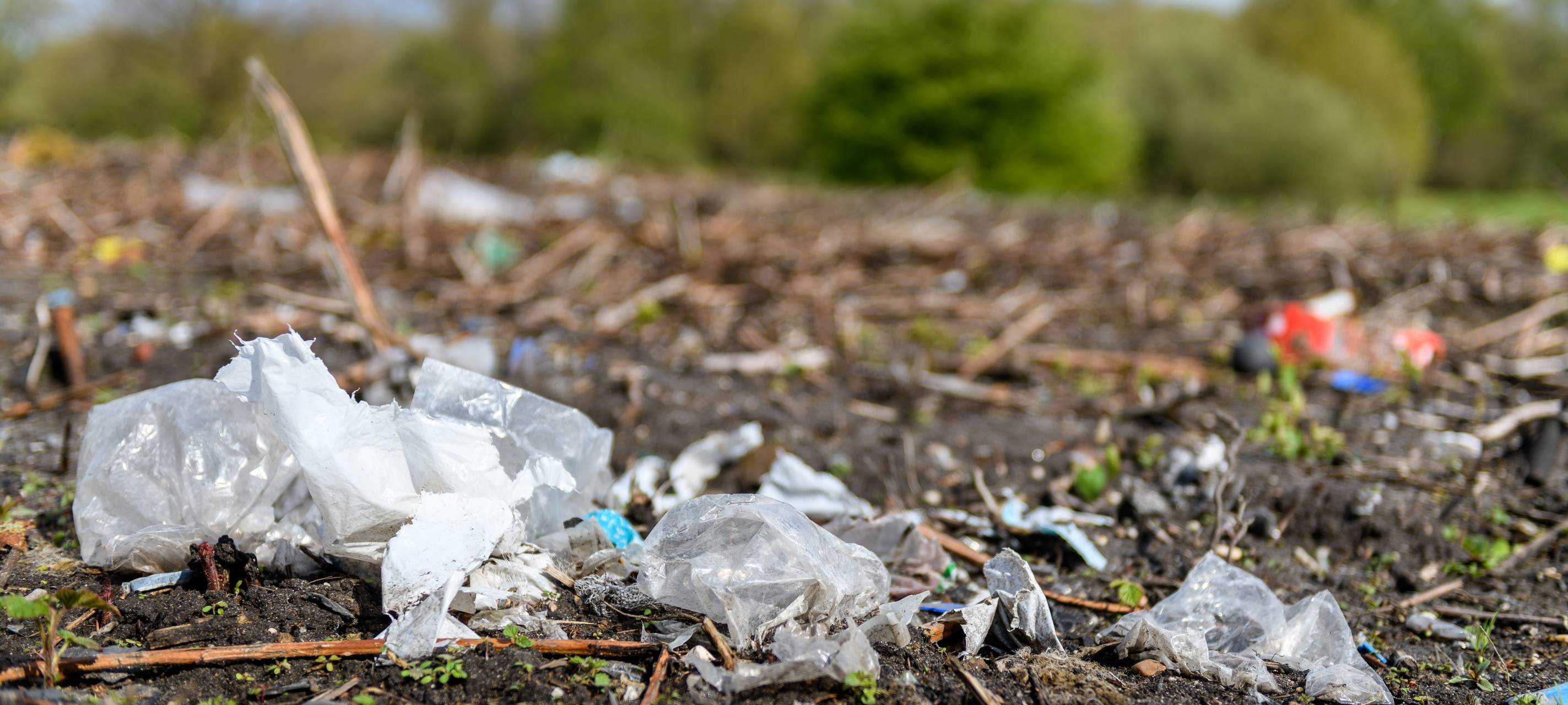 Plastikmüll liegt am Straßenrand