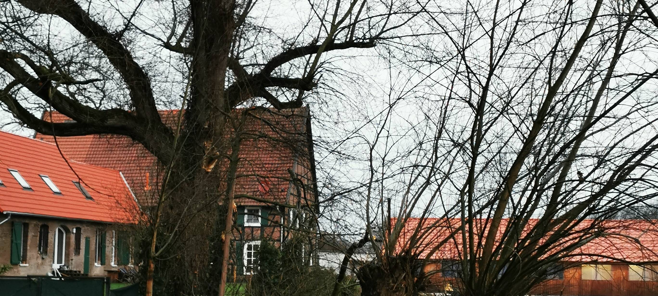 Sturmeinsatz Gelsenkirchen-Resse