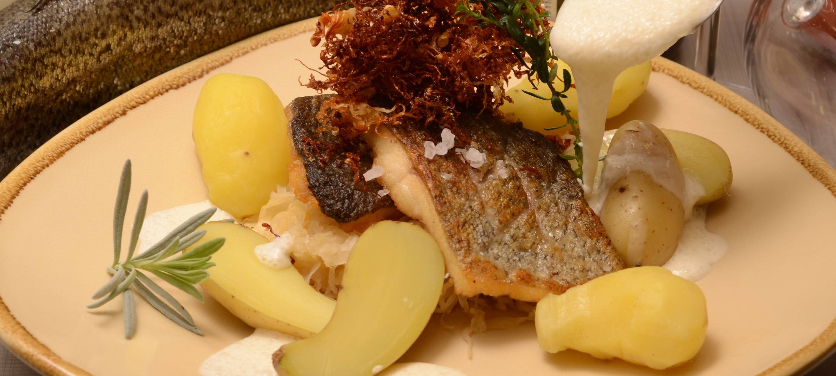 Forelle mit Rieslingsoße und frittiertem Sauerkraut