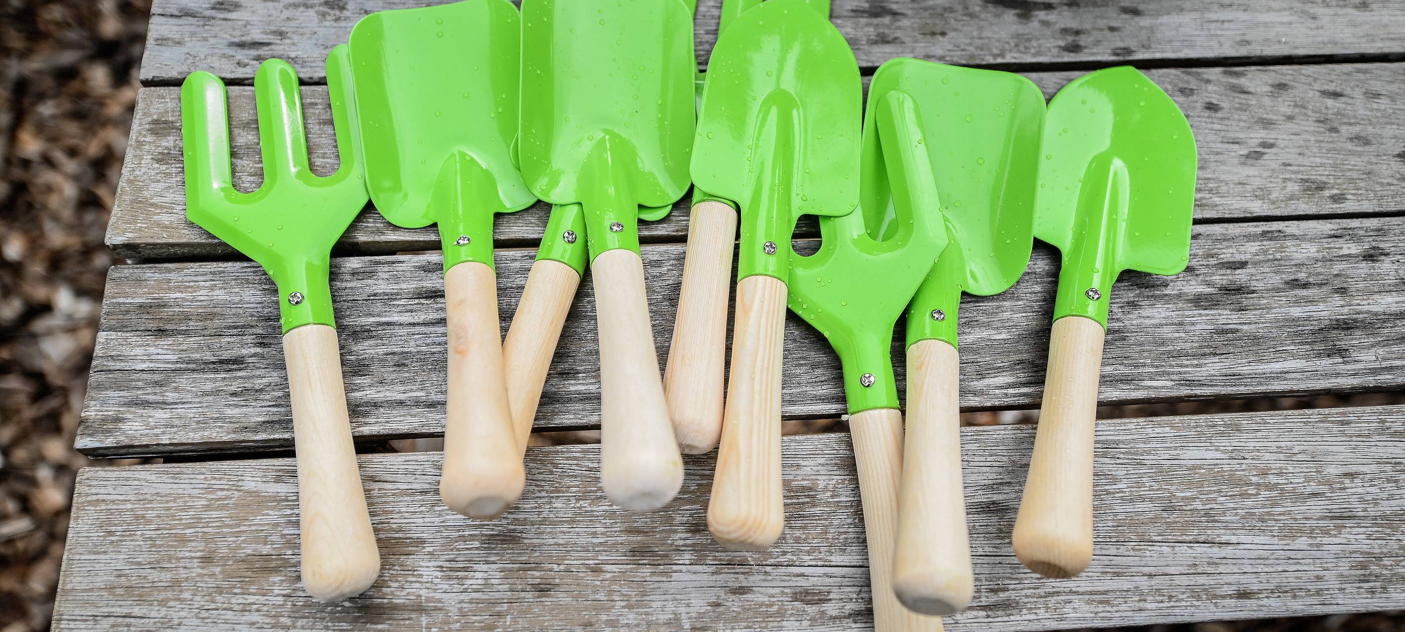 Bis zu 800 Euro für euren neuen Vorgarten