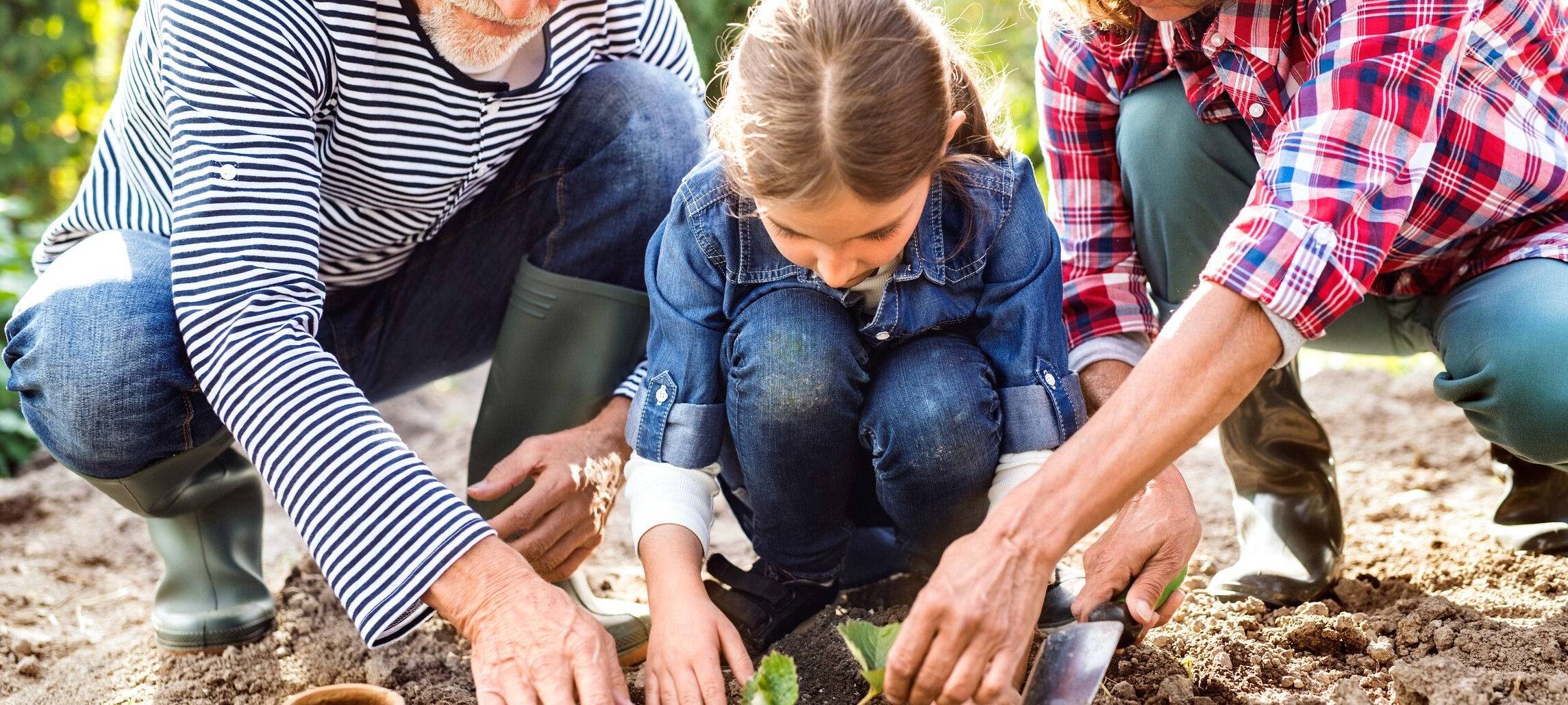 AOK: Tetanus-Gefahr beim Gärtnern