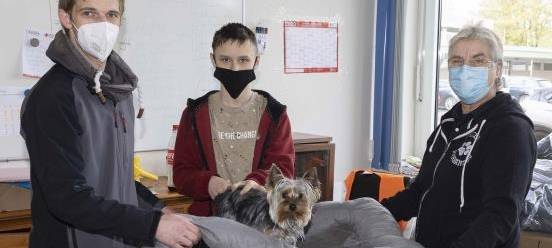 Geflüchtete sollen Tiere gegen Tollwut impfen lassen