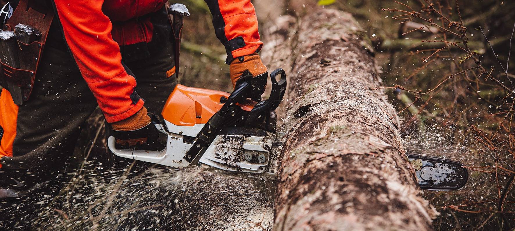 IG BAU fordert bessere Arbeitsbedingungen in Forstwirtschaft