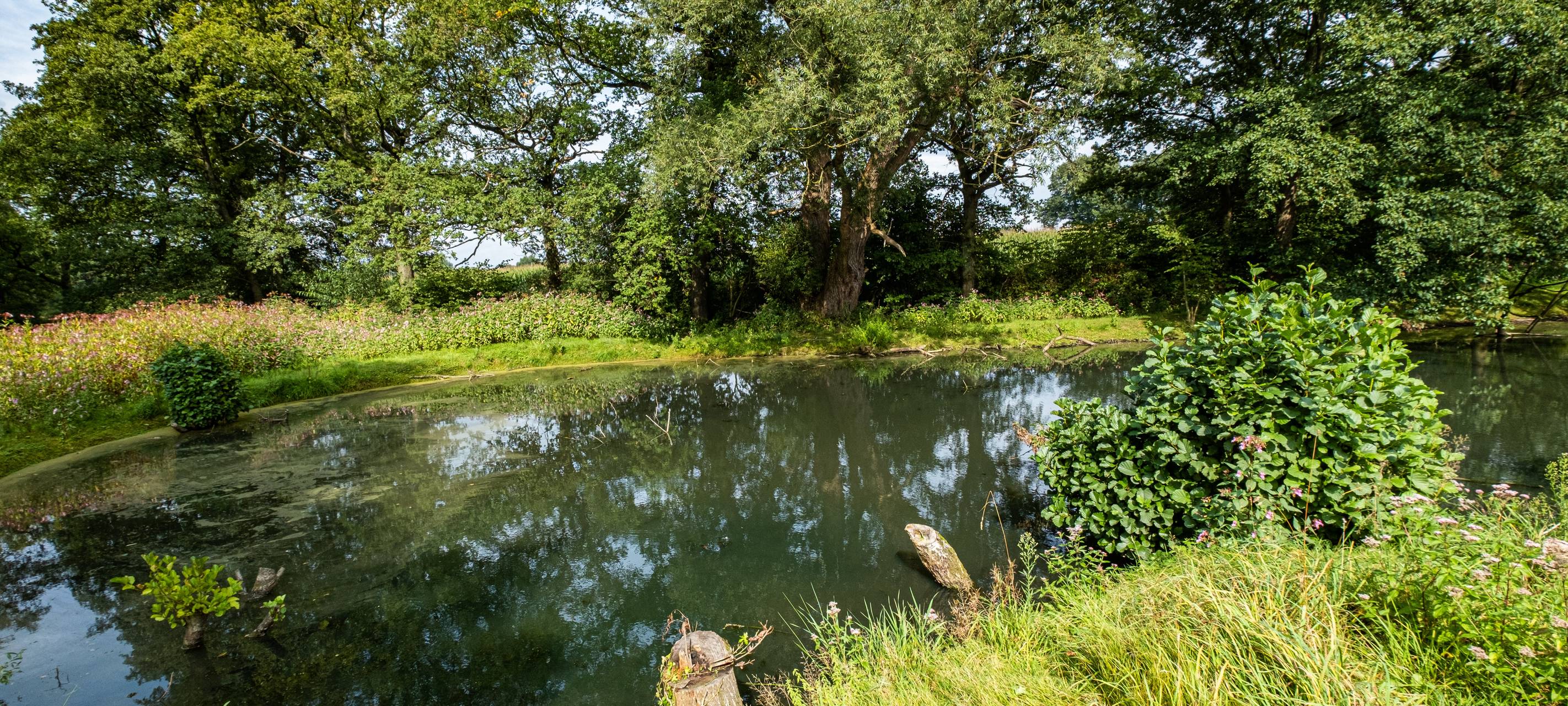 Regenrückhaltebecken Am Frochtwinkel in Gladbeck