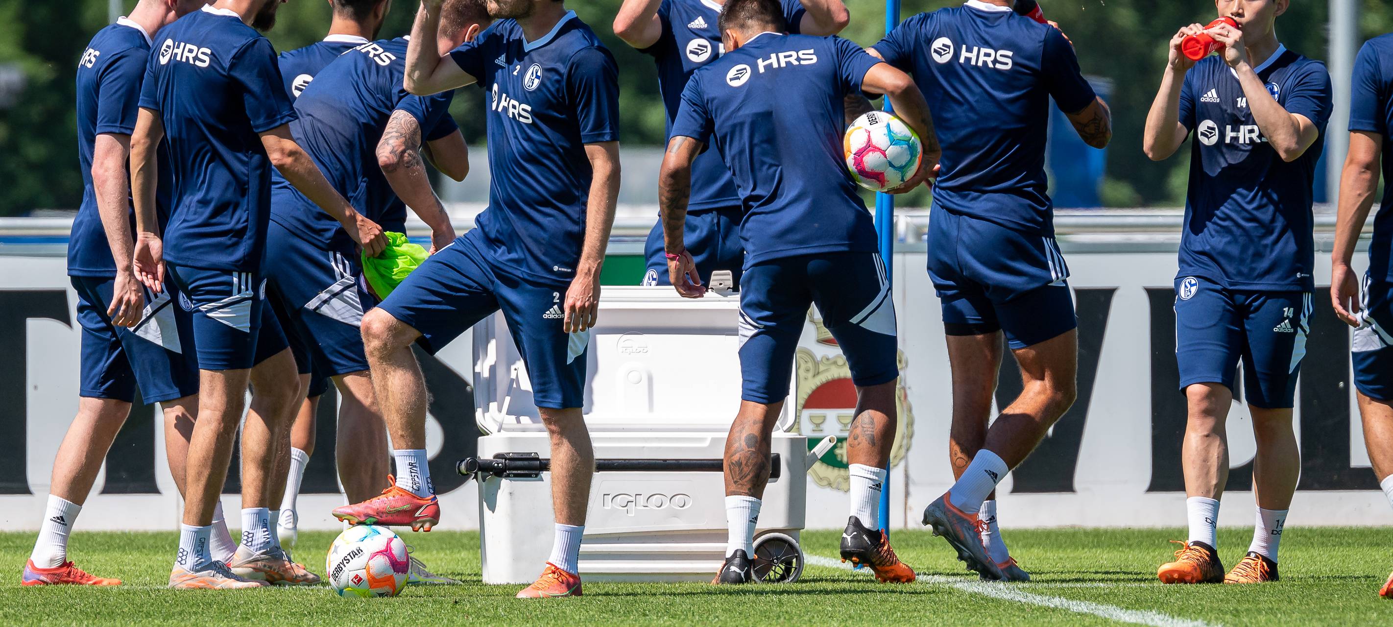 Schalke testet heute gegen VfL Osnabrück