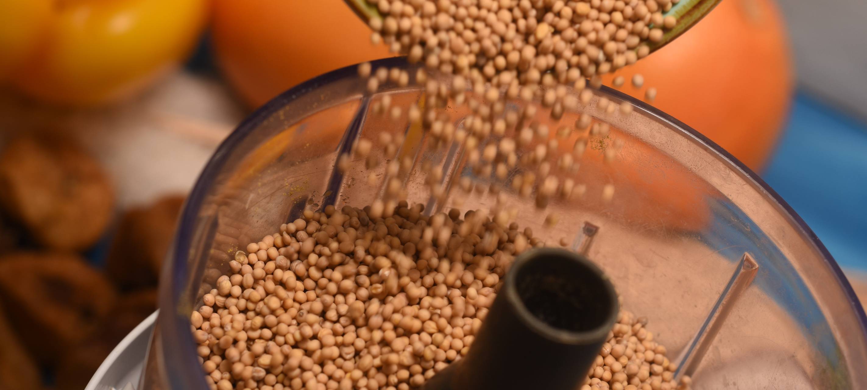 Seelachs-Spieße mit neuen Kartoffeln und Feigensenf auf Orangensalat