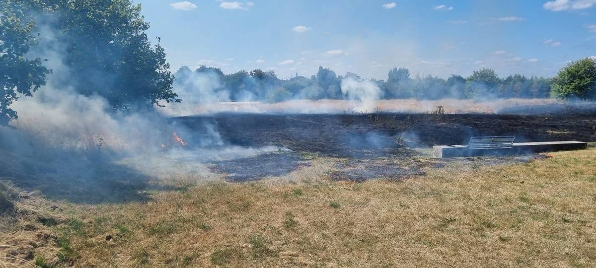 Brennende Grasfläche in Gelsenkirchen-Bismarck