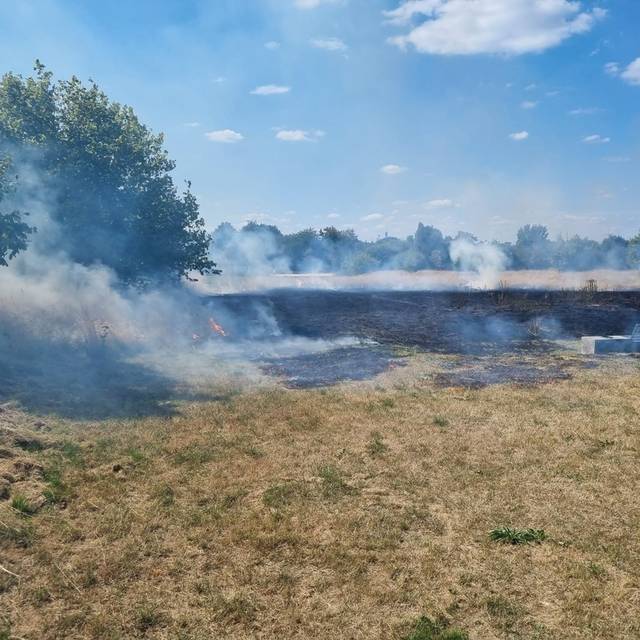 Brennende Grasfläche in Gelsenkirchen-Bismarck