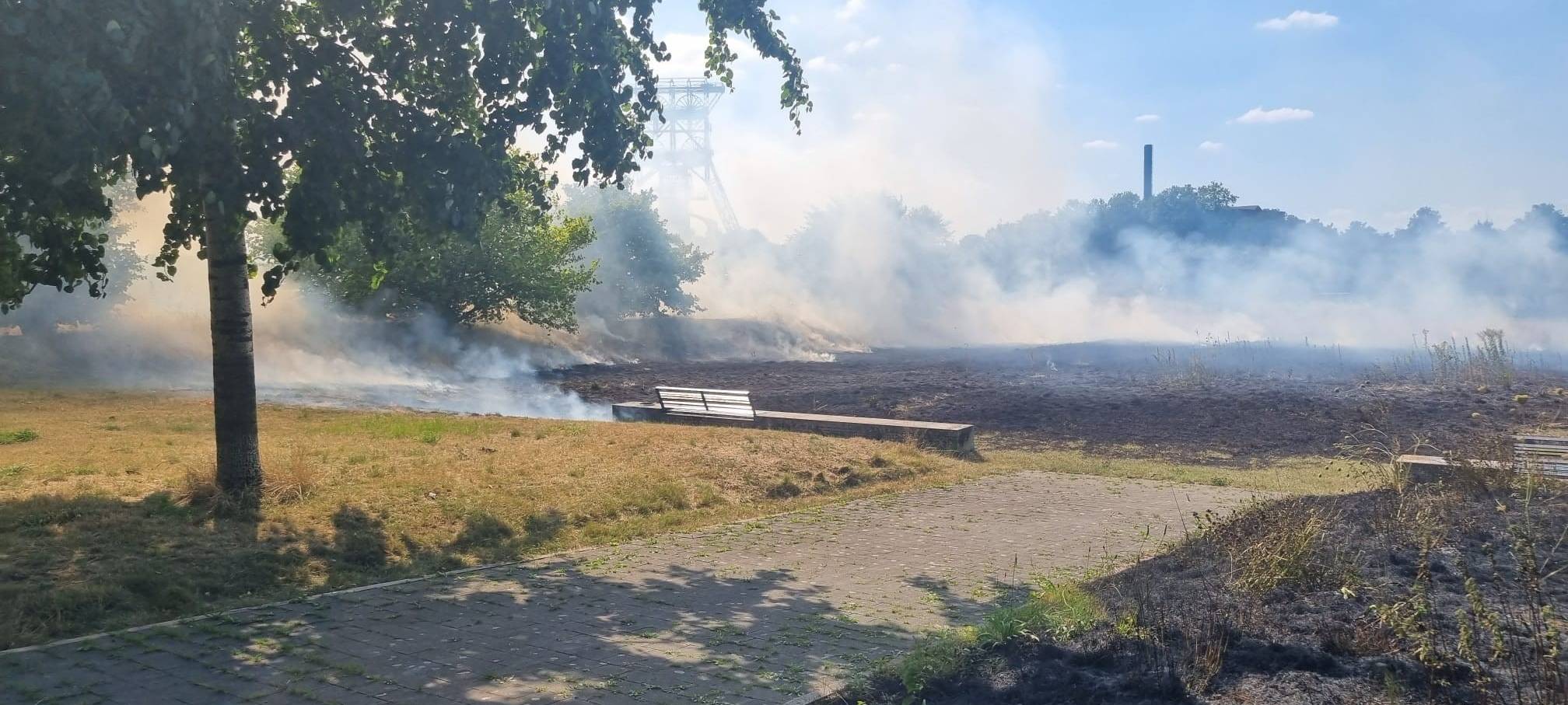 Brennende Grasfläche in Gelsenkirchen-Bismarck