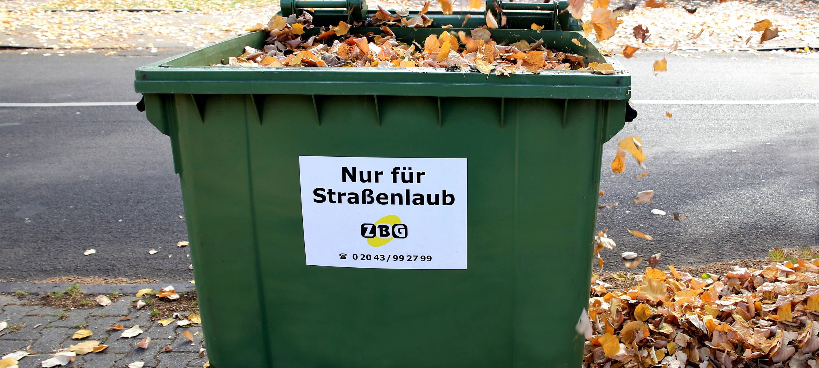 Laubbehälter ZBG