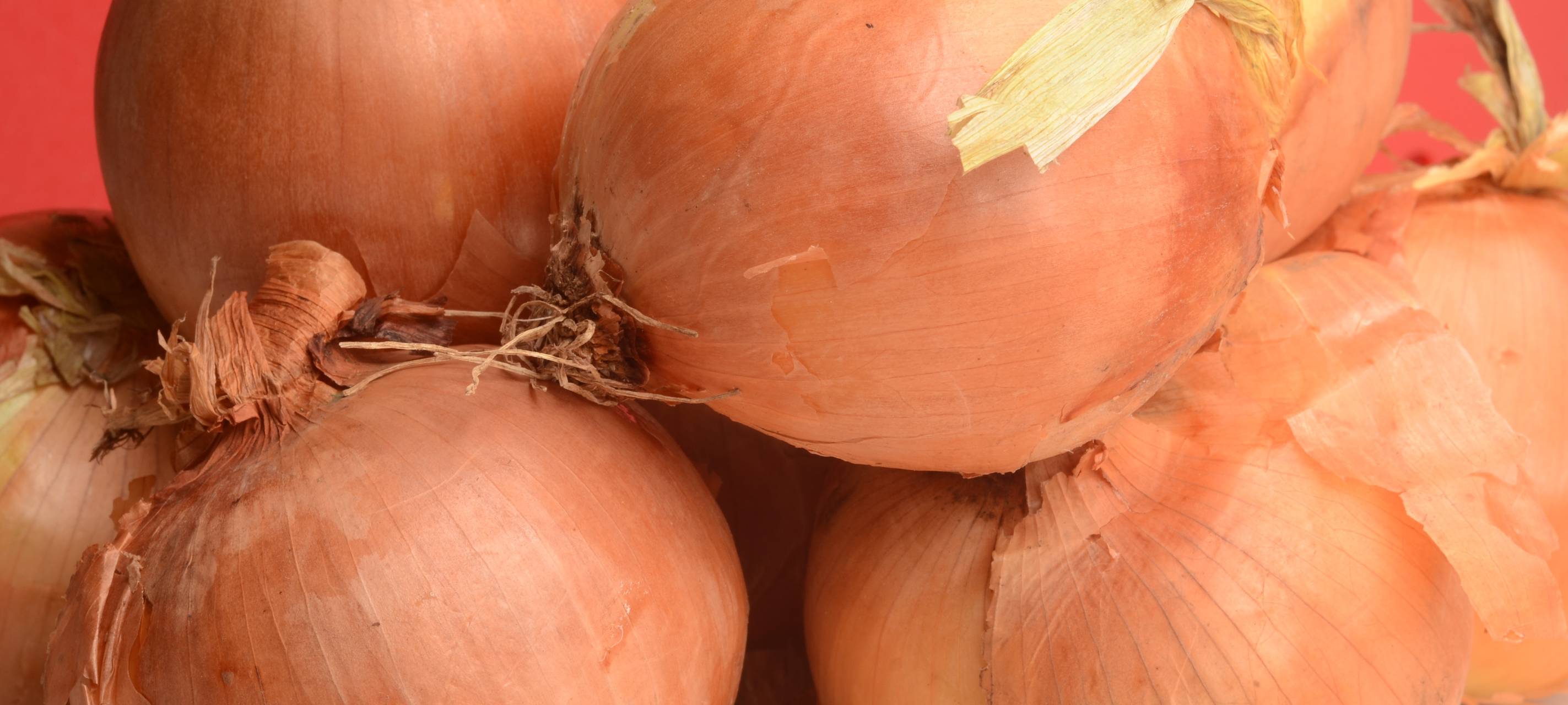 Britische Pie mit Rindfleisch-Stew