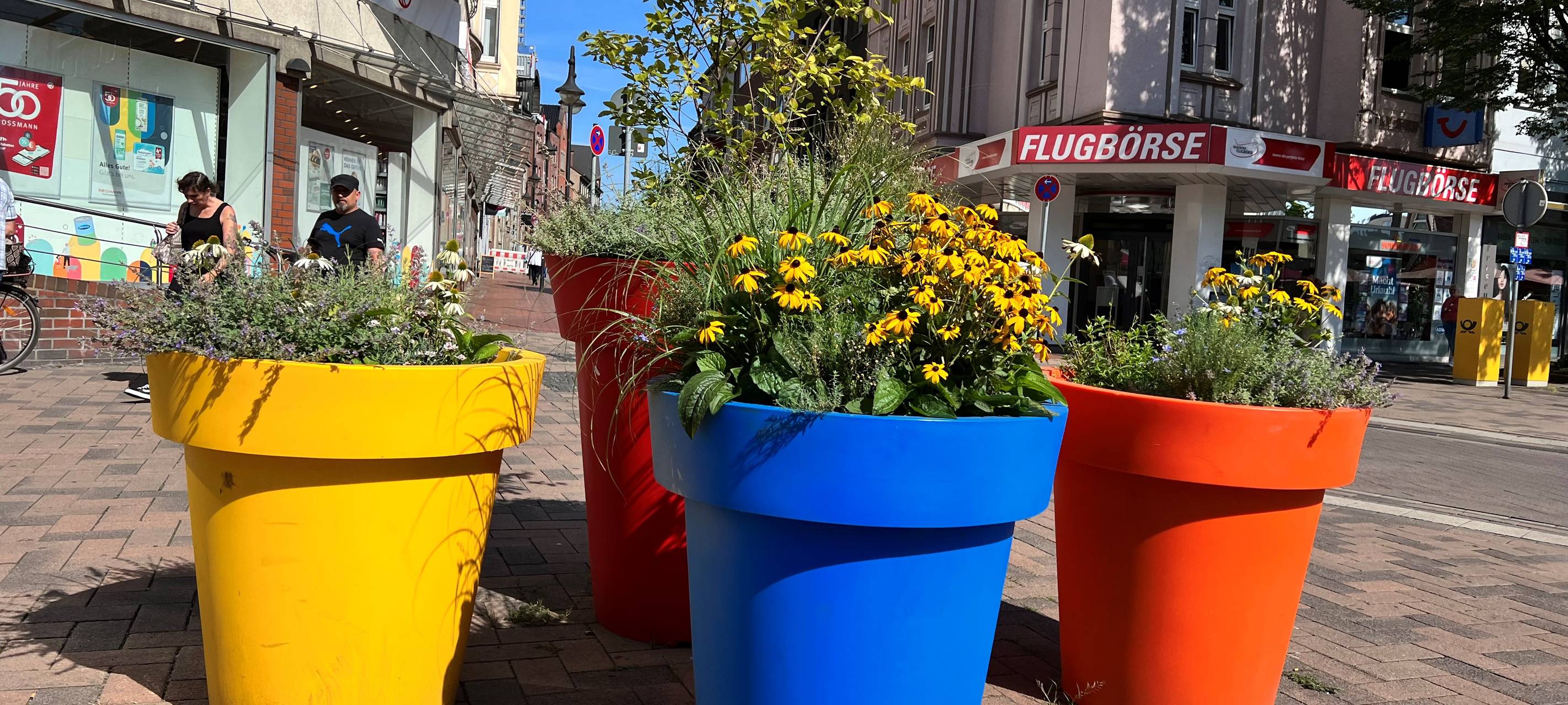 Bottrop: "Buntes Band" im Winterquartier