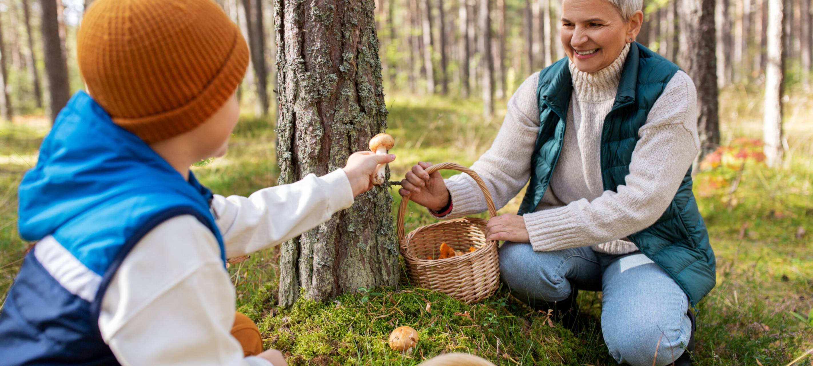 AOK warnt vor giftigen Pilzen