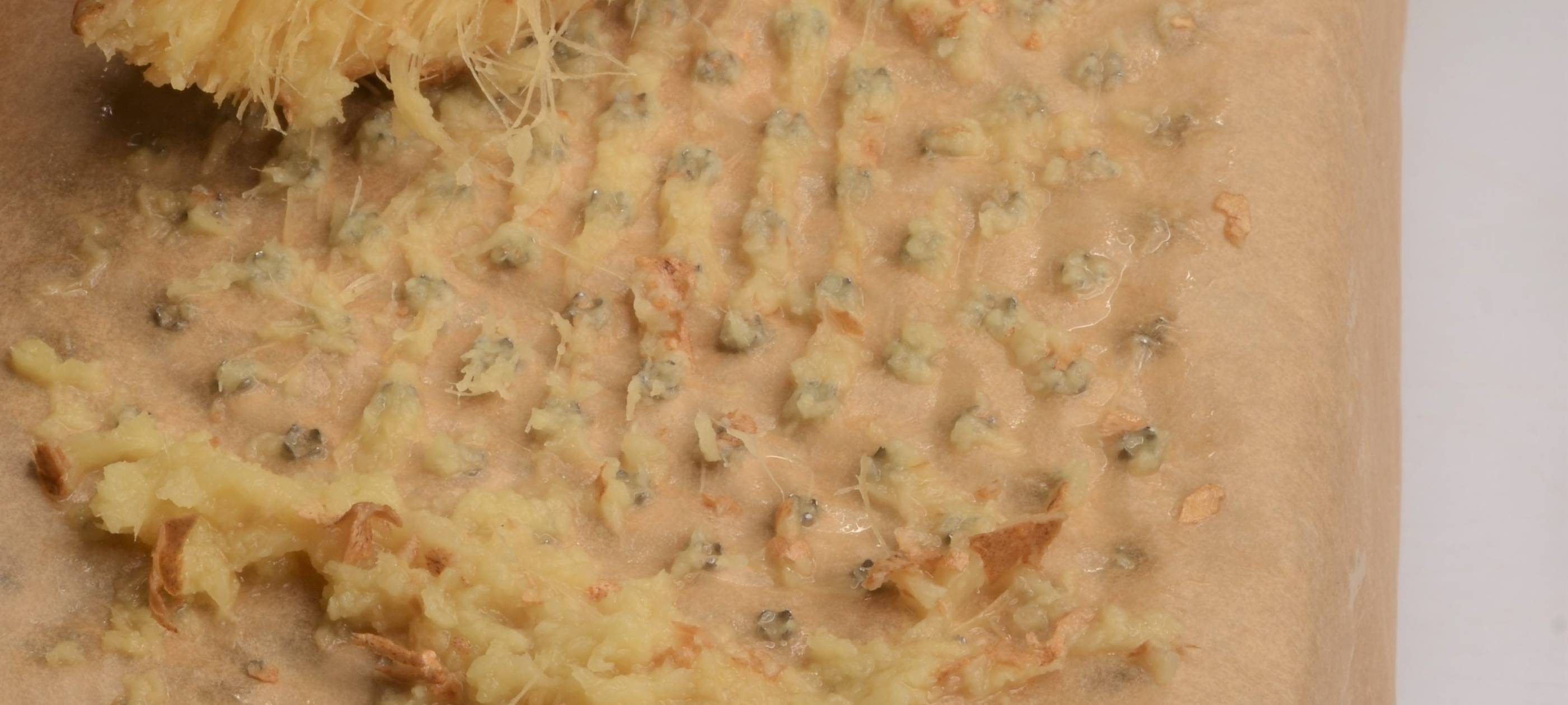 Spareribs mit Pak Choi und Granatapfel