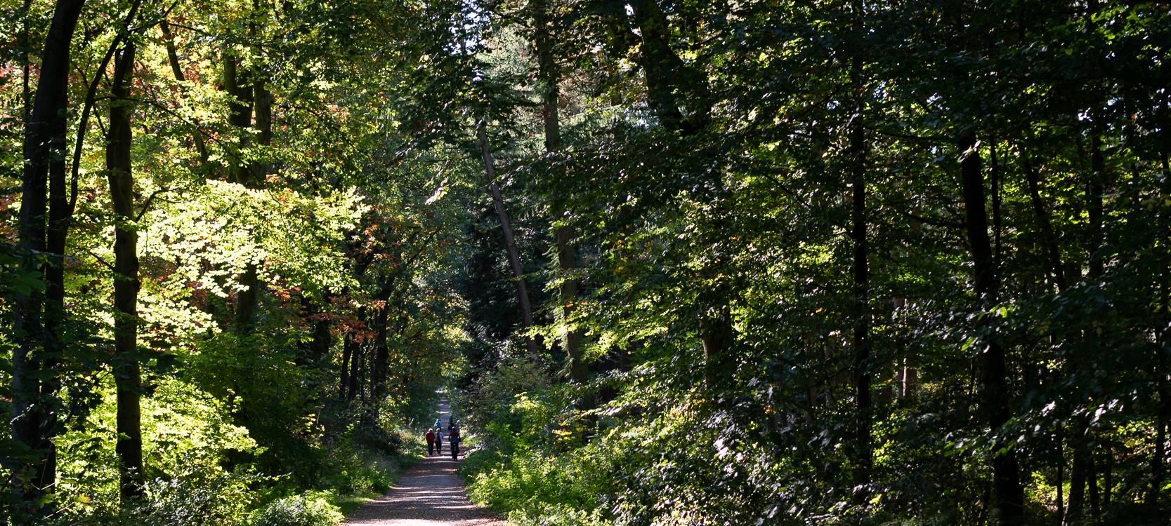 Wanderstrecken für den Herbst