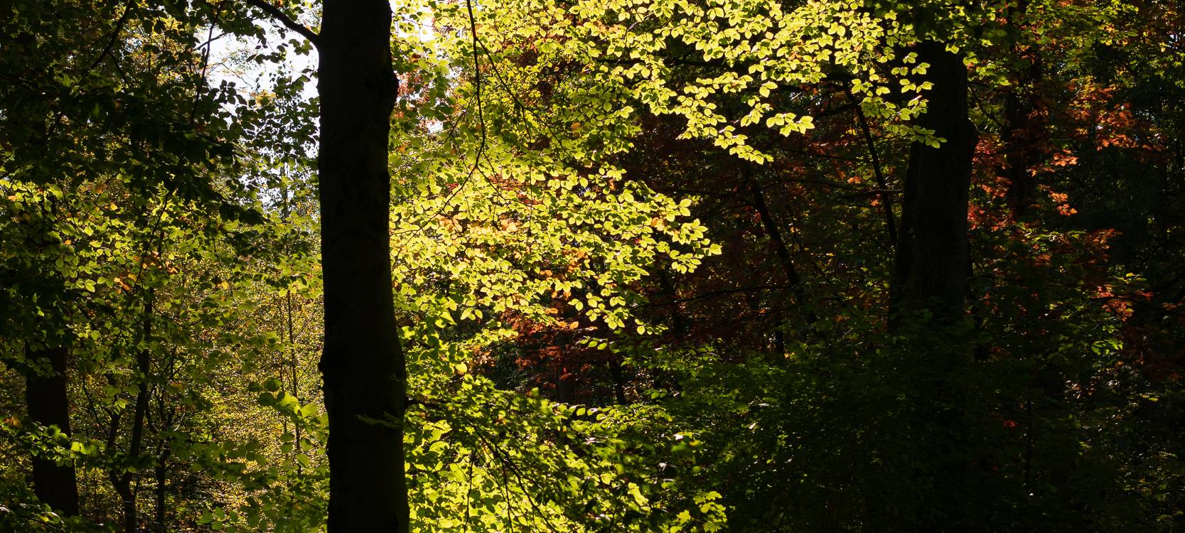 Wanderstrecken für den Herbst