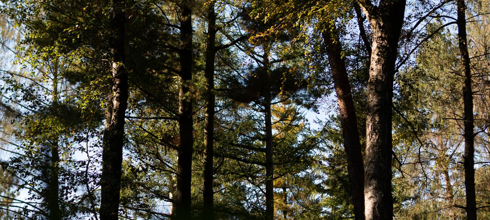Wanderstrecken für den Herbst