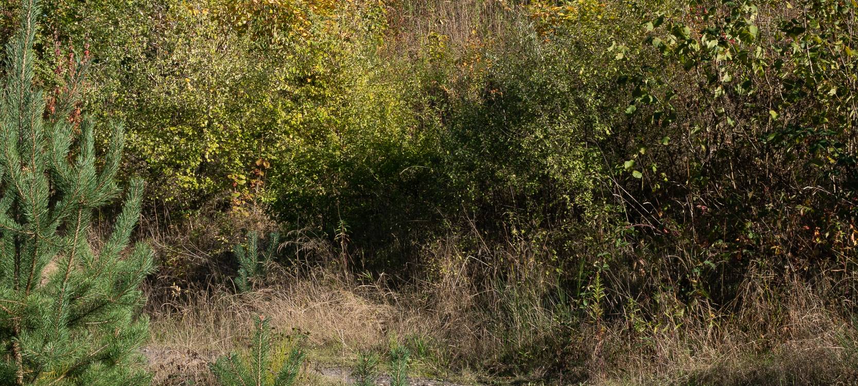 Wanderstrecken für den Herbst