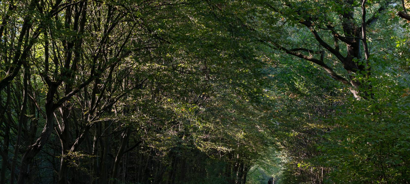 Wanderstrecken für den Herbst