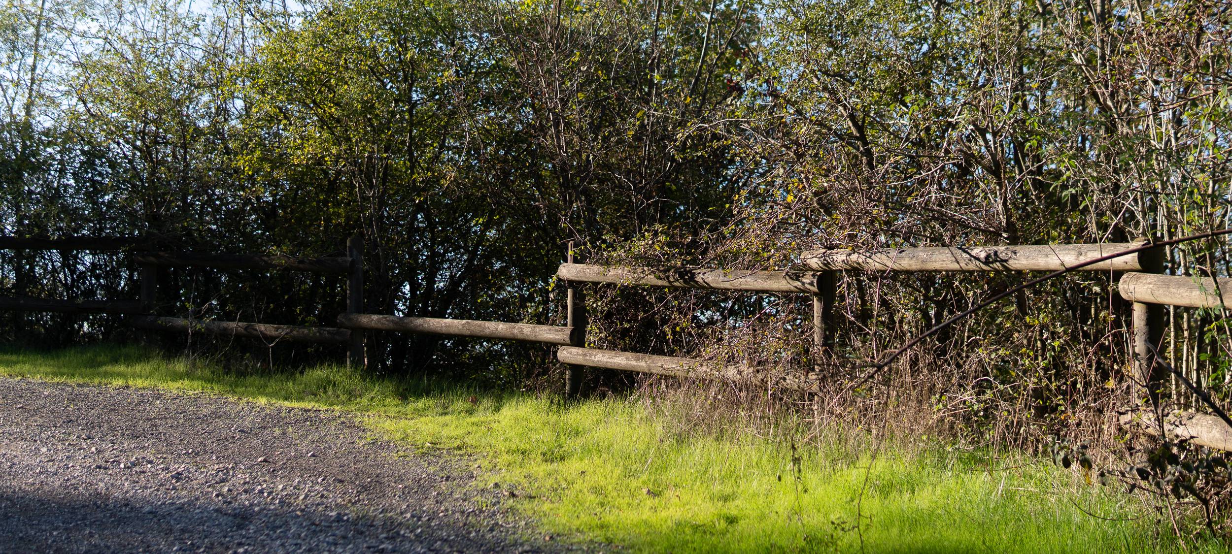 Wanderstrecken für den Herbst