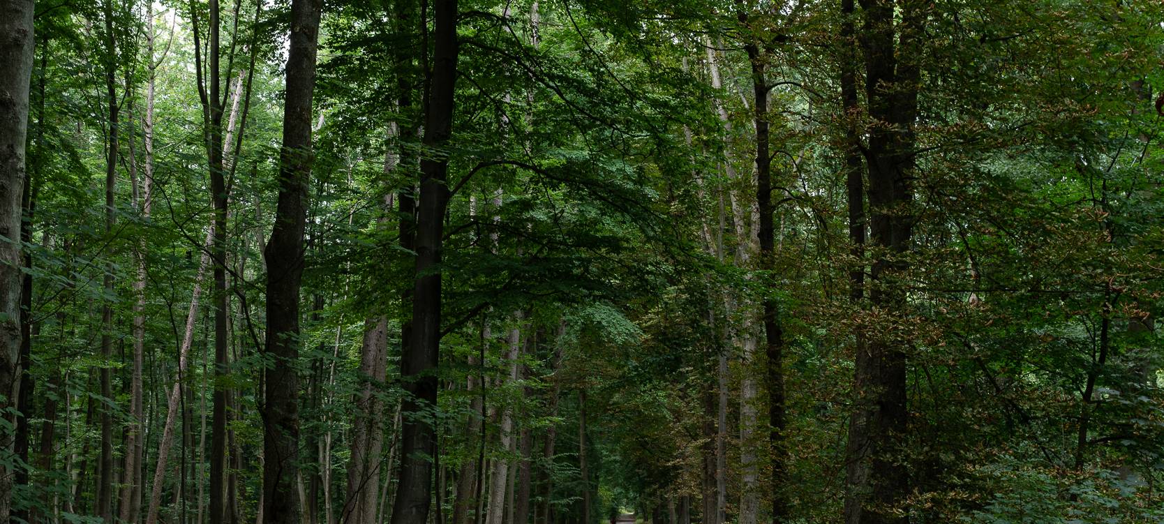 Wanderstrecken für den Herbst