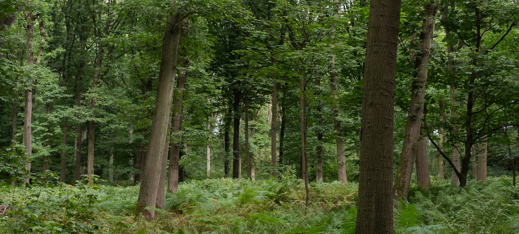 Wanderstrecken für den Herbst