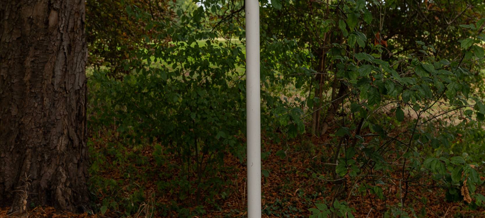 Wanderstrecken für den Herbst