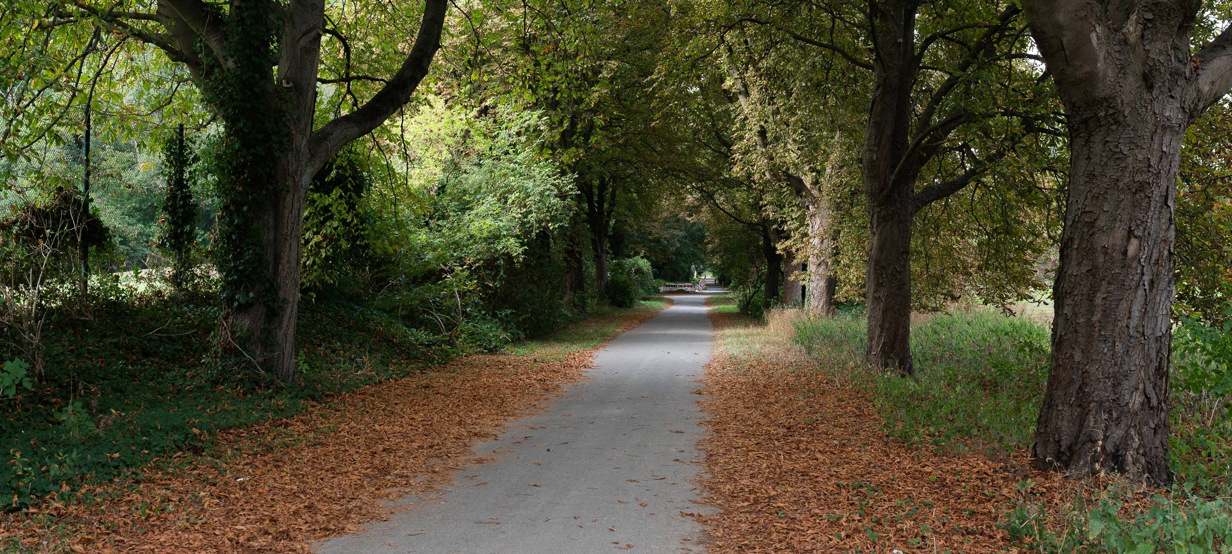 Wanderstrecken für den Herbst