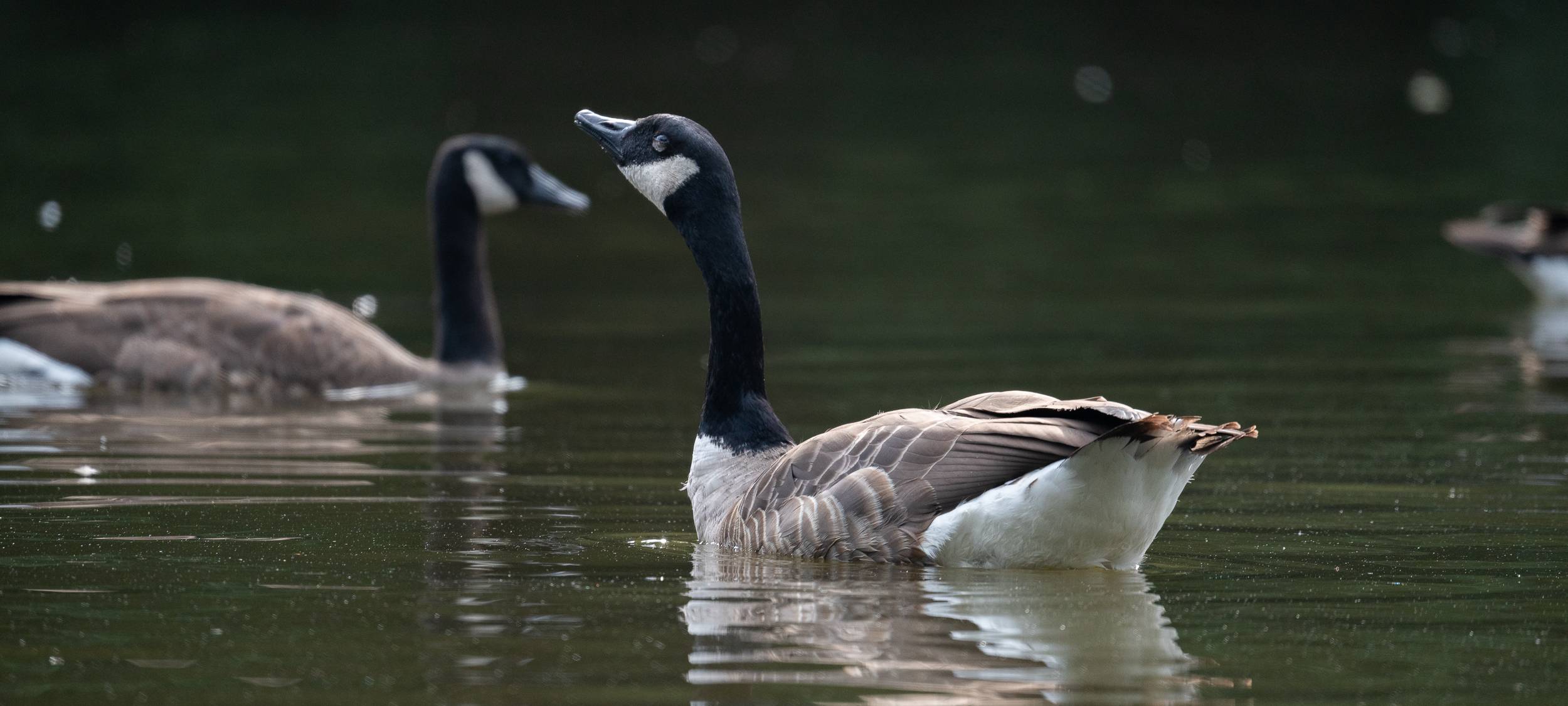 Wanderstrecken für den Herbst