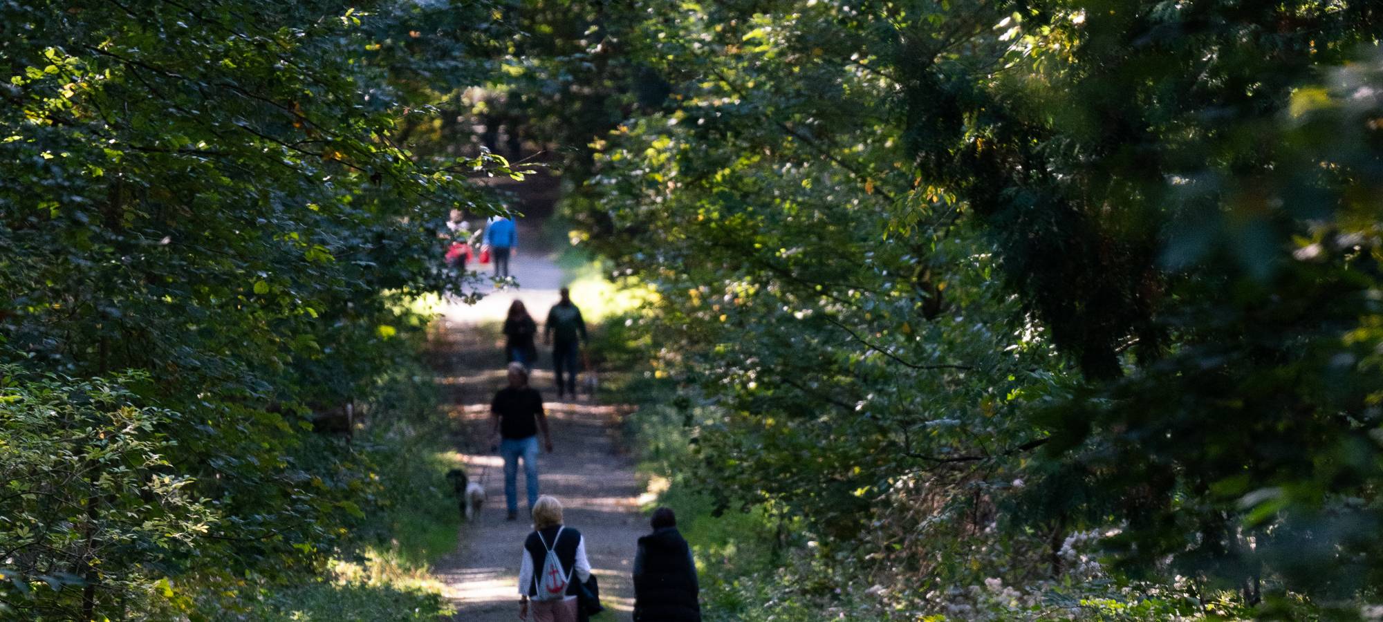 Wanderstrecken für den Herbst