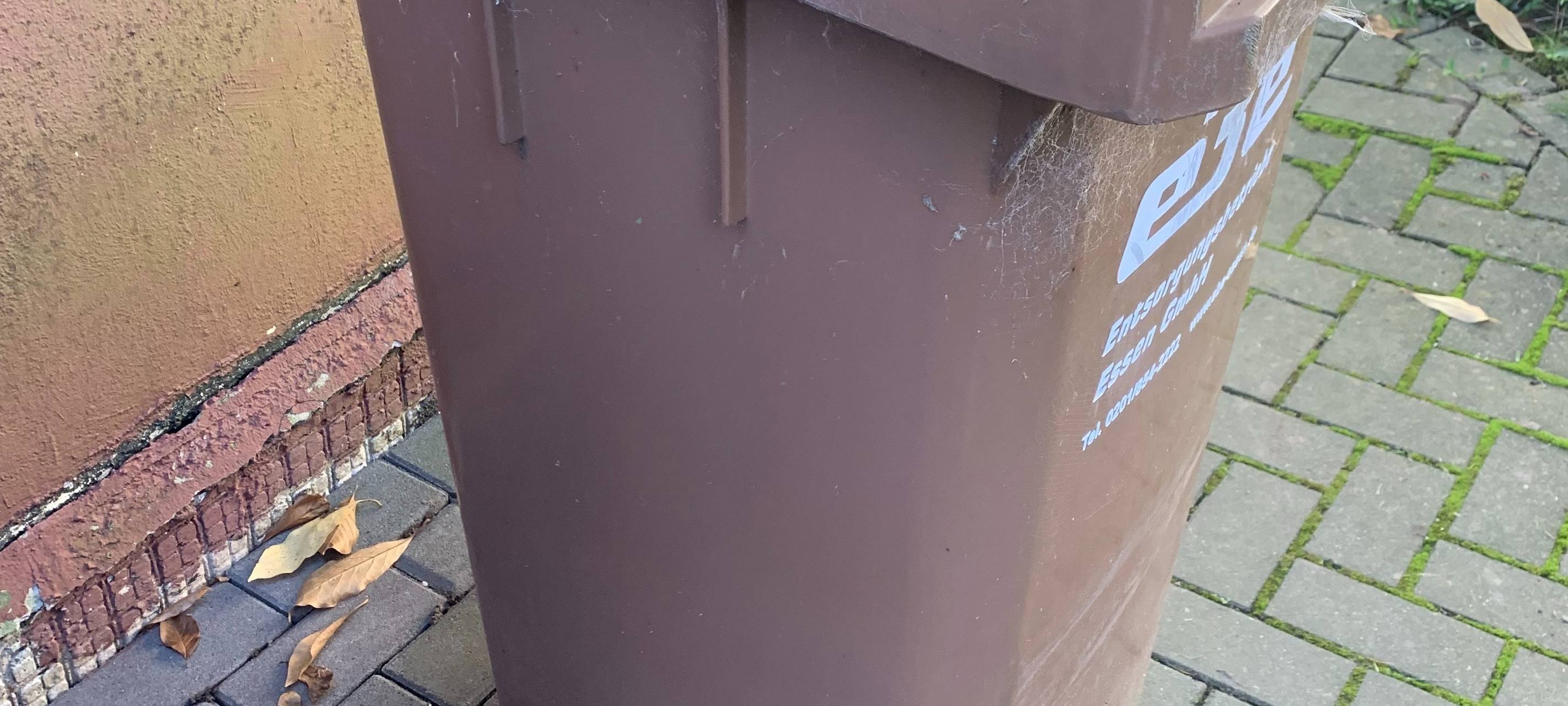 Bottrop: Stadt stoppt teilweise Arbeiten in Recyclinganlage