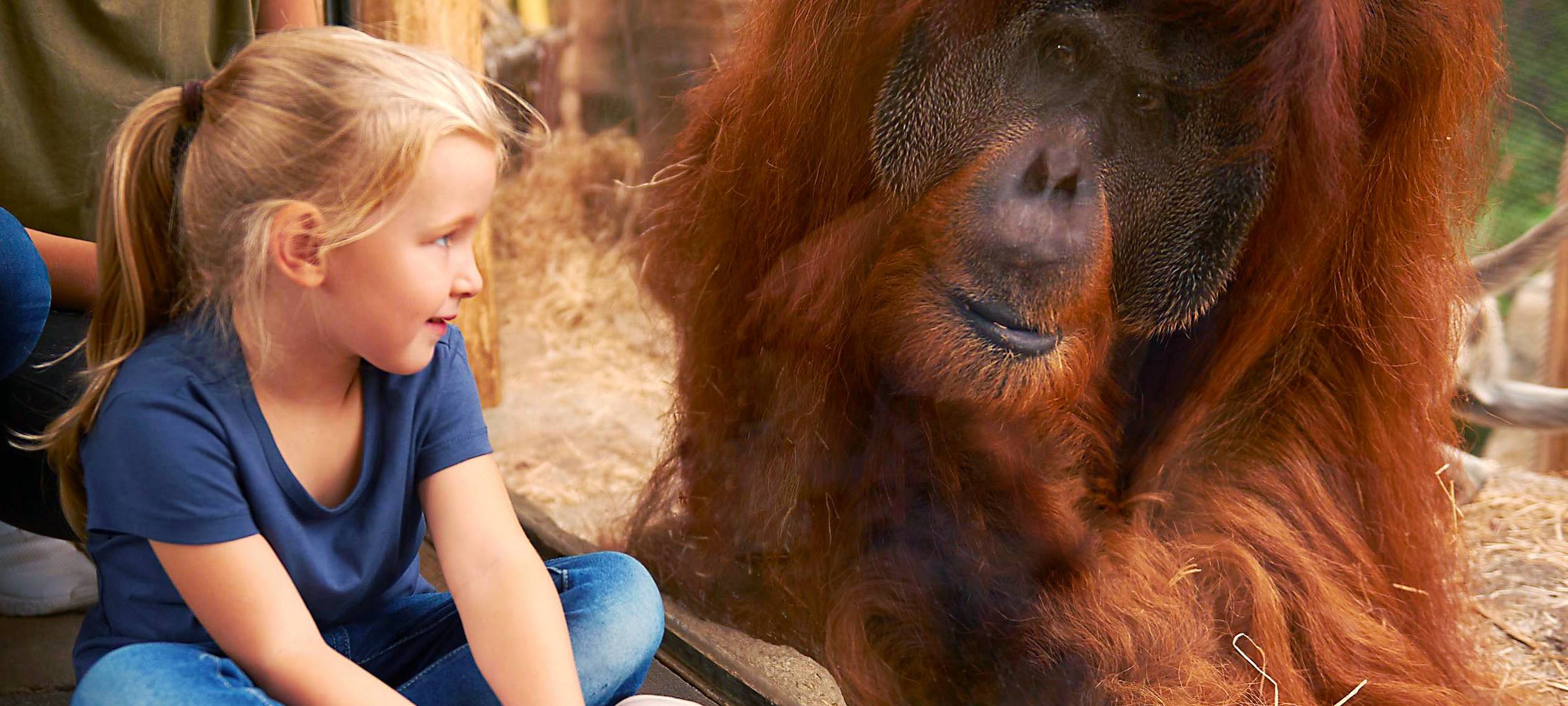 ZOOM laut Besuchern bester Zoo Deutschlands