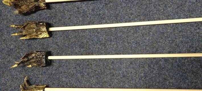 Kurioser Fund: Alligatorenfüße im Postpaket