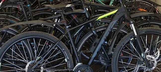 Polizei schnappt sechs Raddiebe bei Großrazzien