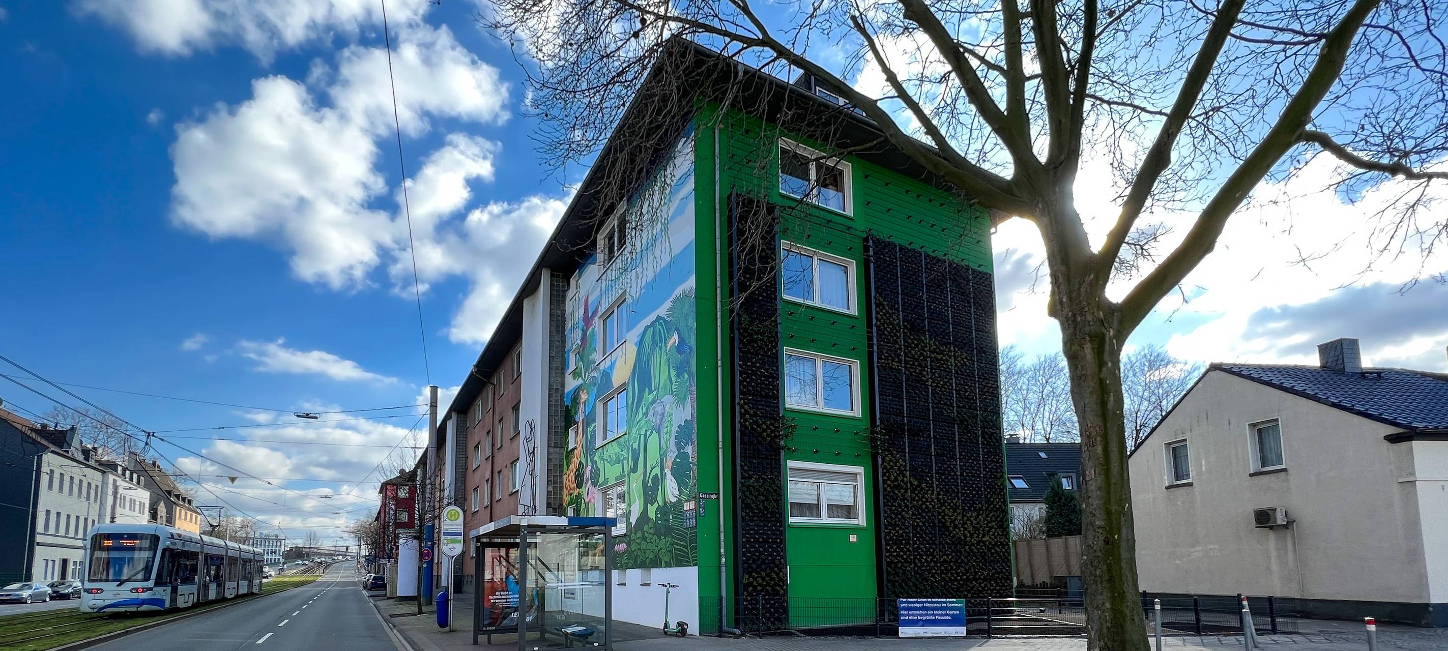 Erste städtische Fassadenbegrünung auf Schalker Meile