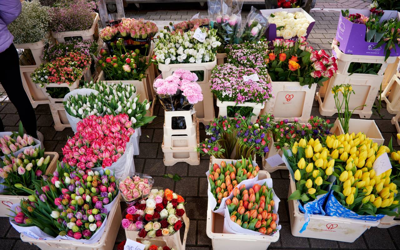 Blumenstand auf dem Wochenmarkt