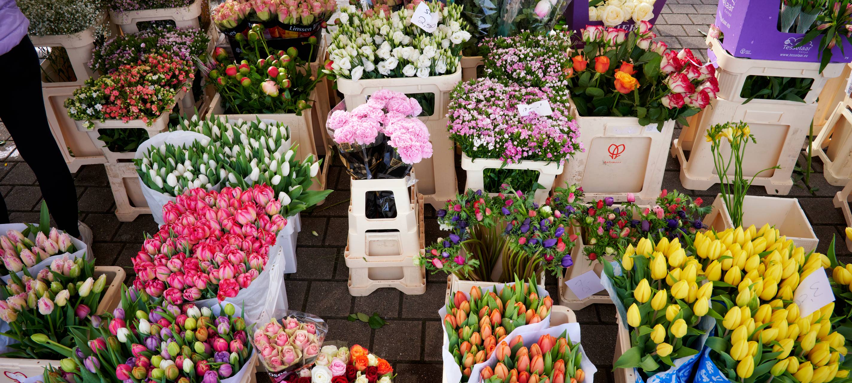 Blumenstand auf dem Wochenmarkt
