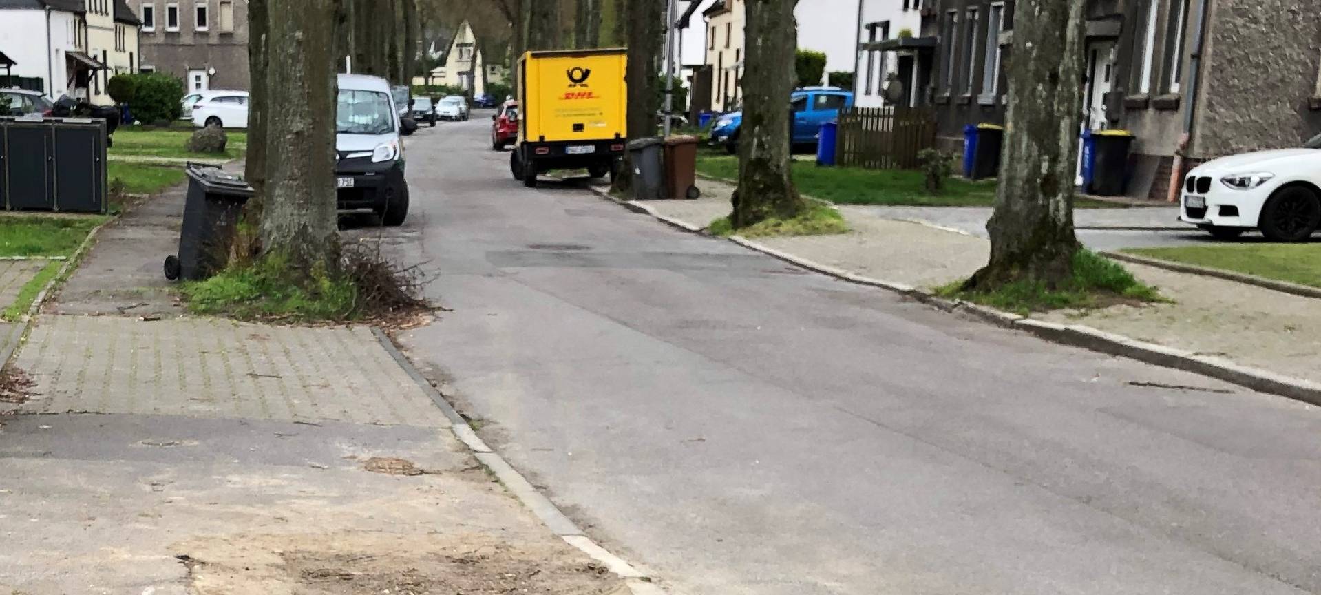 Baumdiebstahl an der Krugstraße in Gladbeck