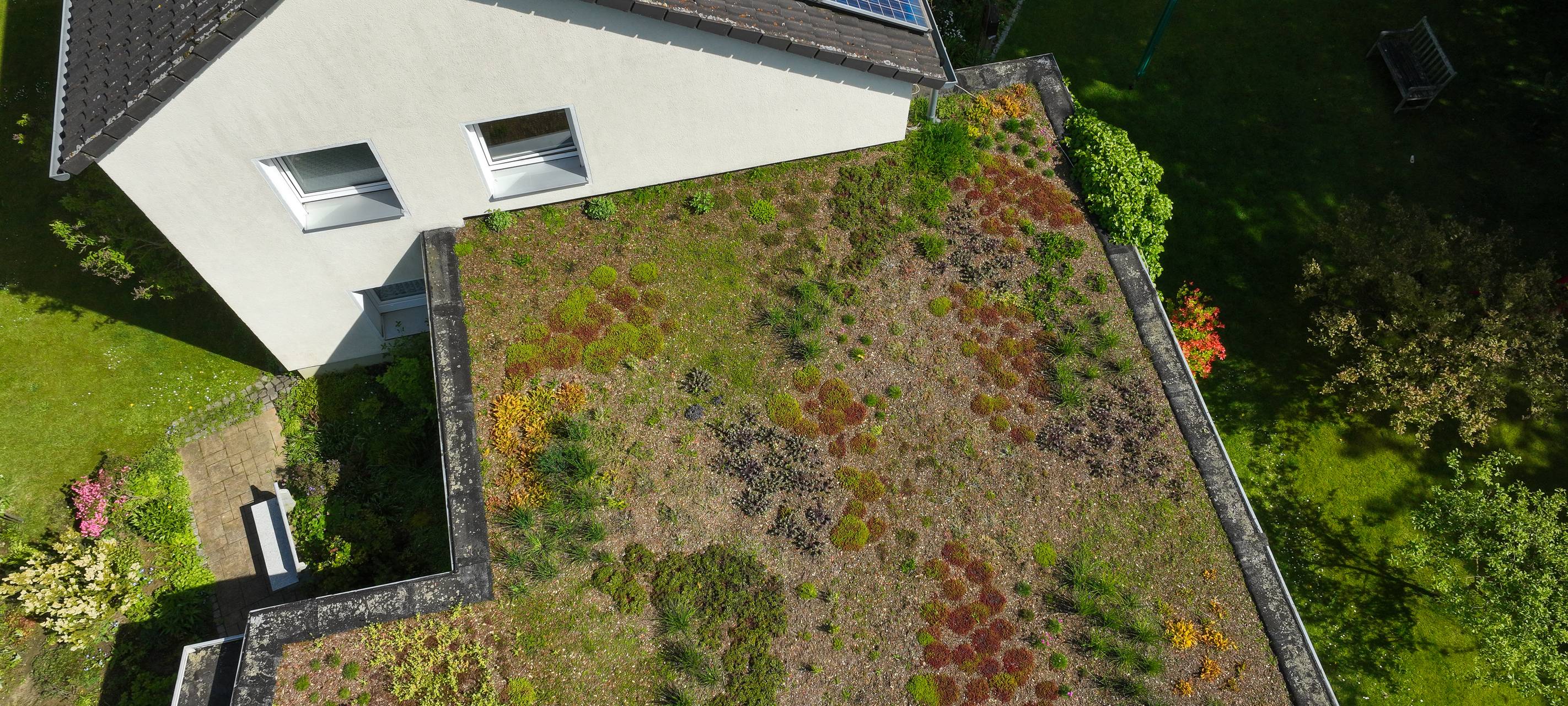 Begrüntes Dach von oben gesehen