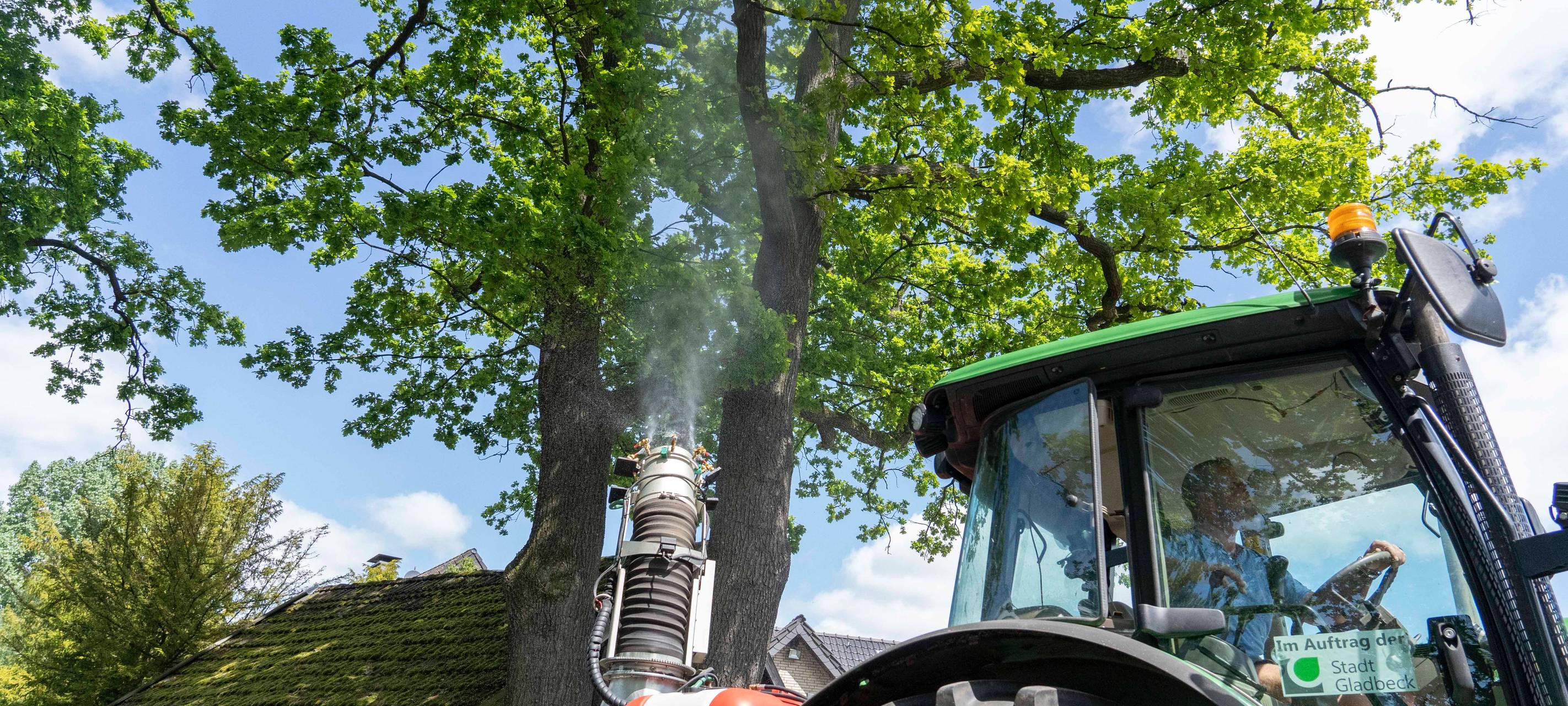 Kampf gegen Eichenprozessionsspinner
