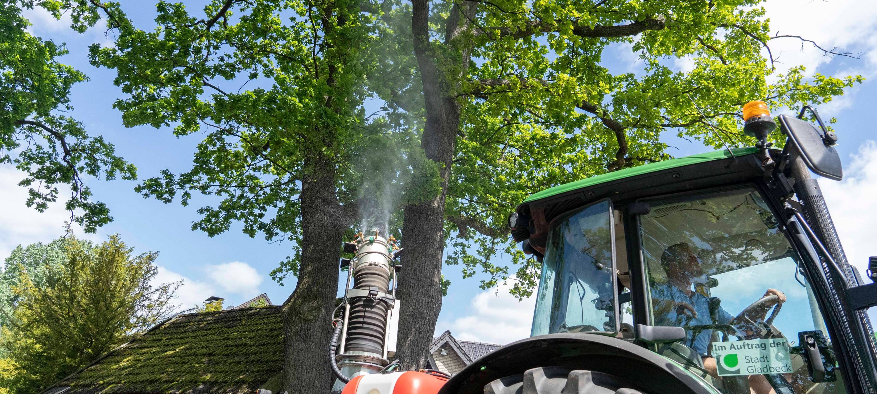 Kampf gegen Eichenprozessionsspinner